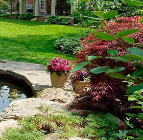 Ландшафтный дизайн