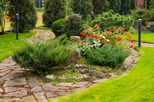 Зеленый участок 2