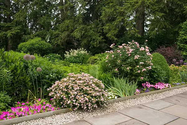 Зеленый участок 3