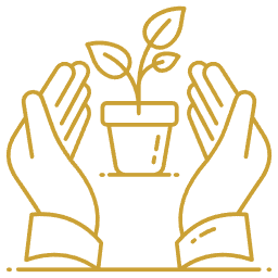 Минимальный уход