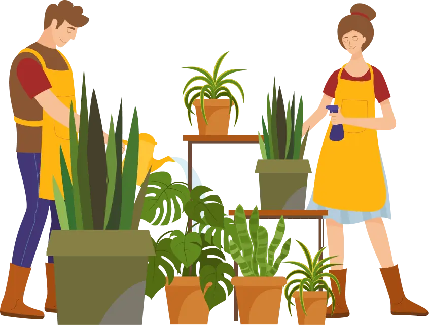 Профессиональный уход за растениями