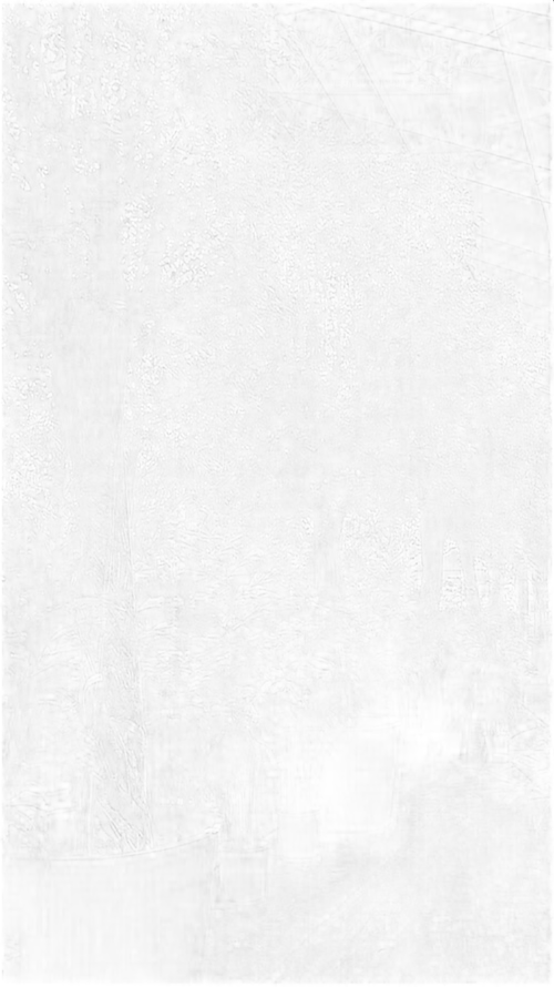 Фикус Бенджамина Нитида - Ficus benjamina Nitida D100 H600