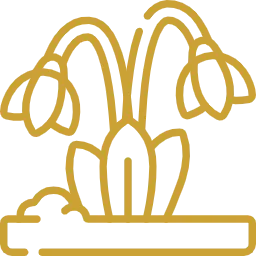 Эстетическая привлекательность