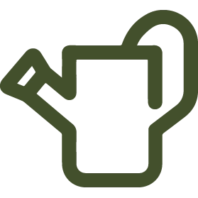 Заболевания с вредителями