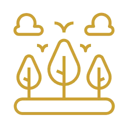 Эстетика и имидж