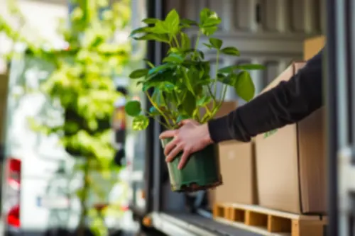 Доставка и монтаж