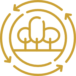 Комплексный подход к озеленению офиса