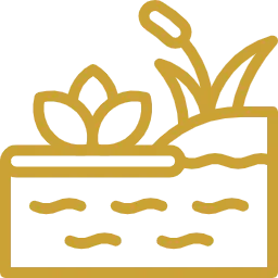 Озеленение спа и бассейнов от «Версаль»