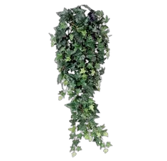 Хедера микс - Hedera mix D30 H90