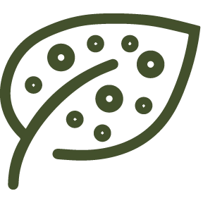 Поражения грибками