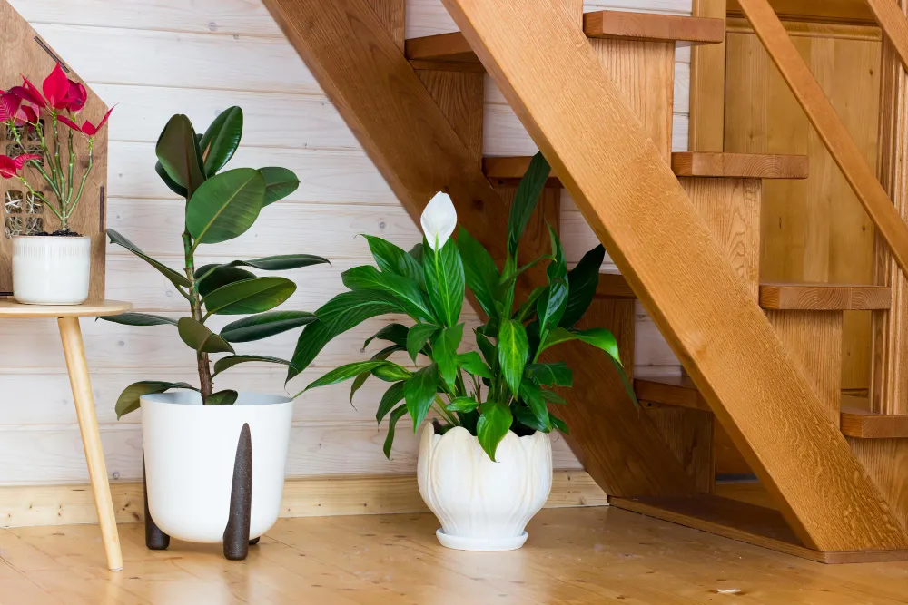 Используйте подвесные кашпо, вертикальные панели или простые глиняные горшки, чтобы вписать зелень в стиль дома. Правильно подобранные растения стирают границы между садом и жилищем, добавляя пространству гармонию и тепло.