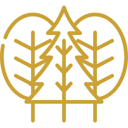 Мгновенный результат