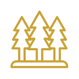 Мгновенный визуальный эффект