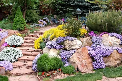 Рокарий, Альпийская горка, чешская скалка