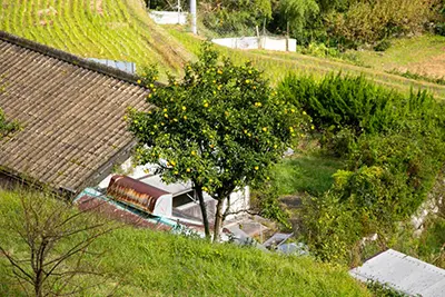 Исследование территории