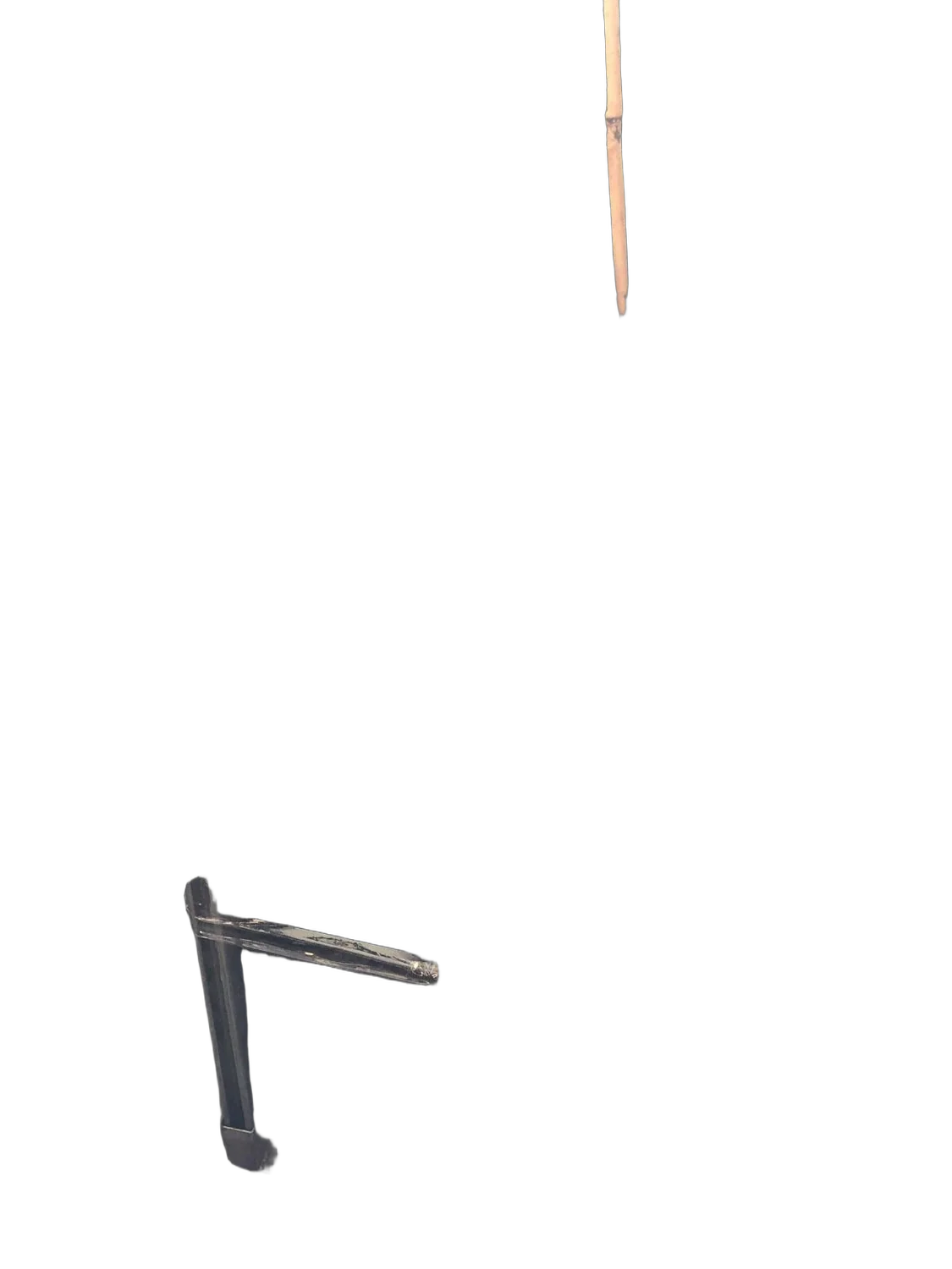 Авокадо, или Персея американская - Persea americana D21 H150