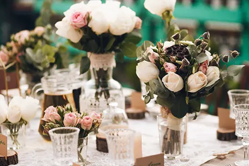 Аренда растений