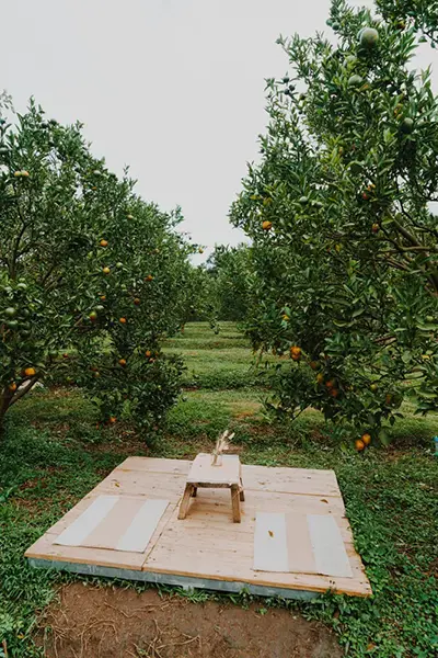 Исследование территории