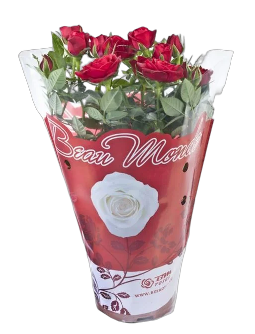 Роза красная - Hot Jewel D10 H25