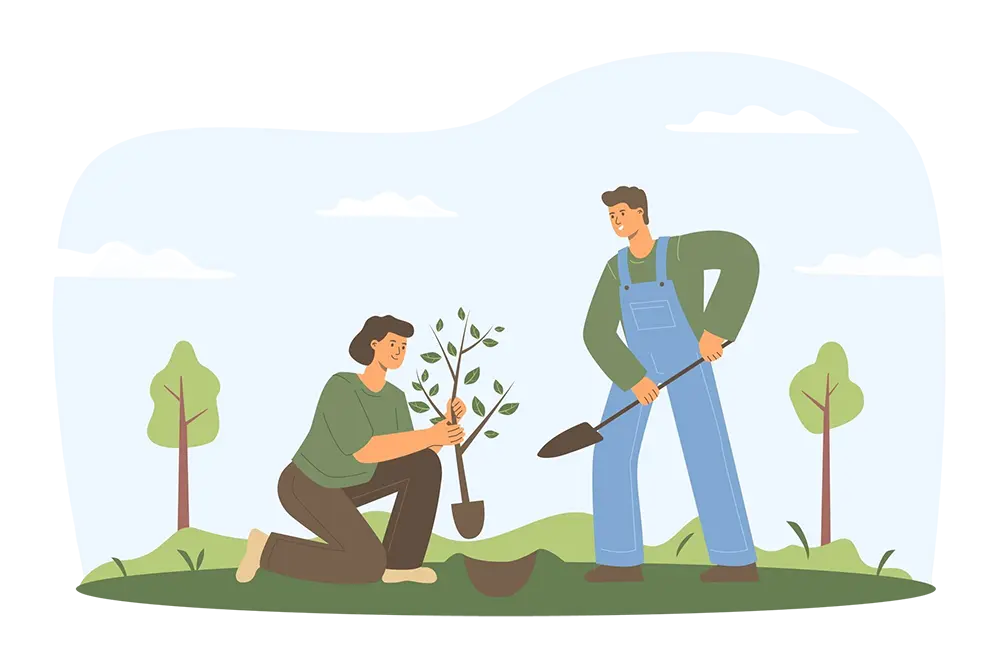 Посадка деревьев крупномеров