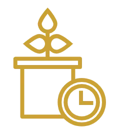 Экономия времени