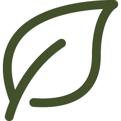 Болезни листьев