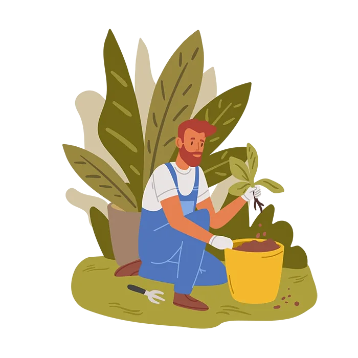 Посадка растений