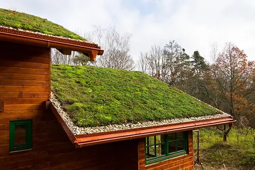 Превратить крышу в сад