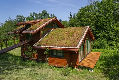 Превратить крышу в сад