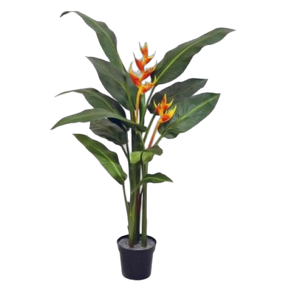 Геликония Олимпик Флейм красная - Heliconia Olympic Flame D19 H120