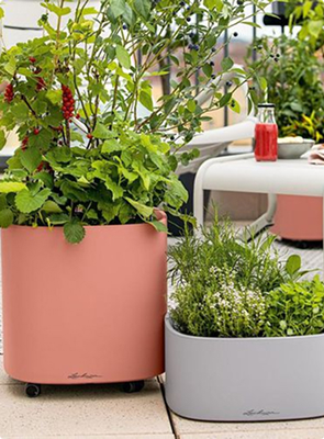 Видеоуроки