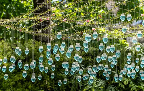 Аренда живых растений для мероприятий