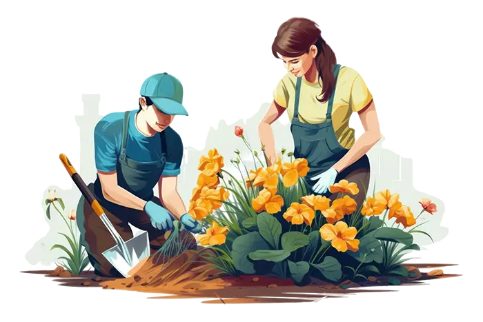 Цветники и клумбы