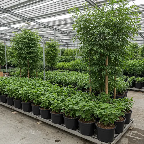 Доставка и профессиональная установка