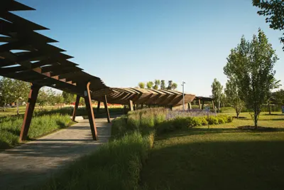 Дендрологический план. Подбор растений, которые будут хорошо чувствовать себя именно на вашем участке.