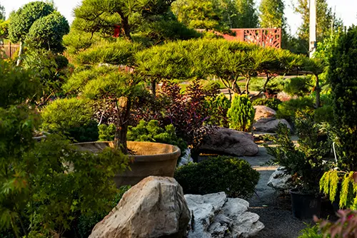 Рокарий — это гармония камня и растения в равнинном саду. Идеальное решение для тех, кто ценит минимализм и японскую эстетику. Плоские композиции, где главную роль играют фактура валунов и медленно растущие хвойные или почвопокровные культуры.