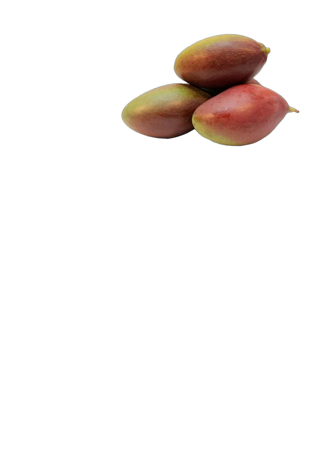 Манго Палмер - Mangifera Palmer D18 H140-165см