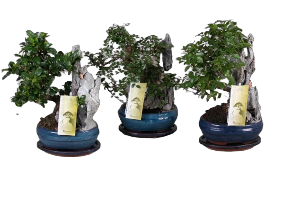 Лиственный микс с камнем D18 H25