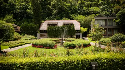 Ландшафтный дизайн участка