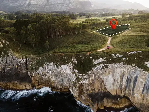 Экологические и агротехнические преимущества Правильный подбор растений: изучение типа почвы, её кислотности, плодородия и дренажа позволяет выбрать виды, которые будут успешно расти в данных условиях