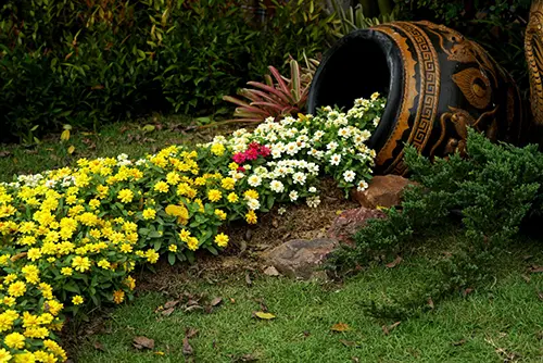 Цветники и клумбы