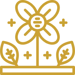 Сезонная динамика