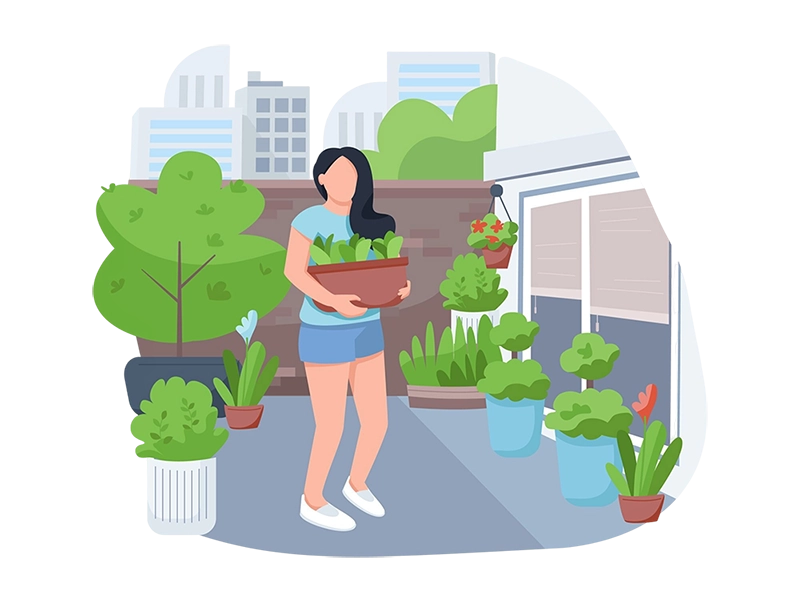 Превратить крышу в сад