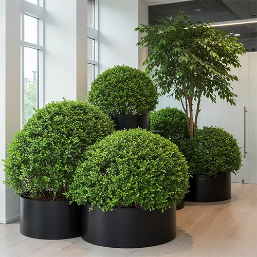 Решение для мероприятий и бизнеса