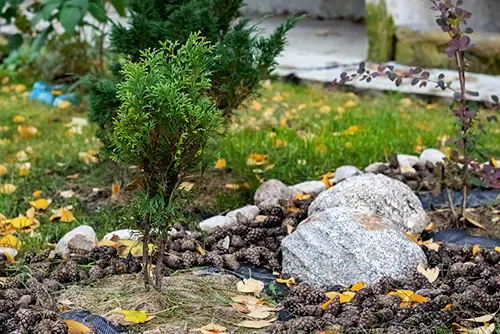 Рокарий, Альпийская горка, чешская скалка