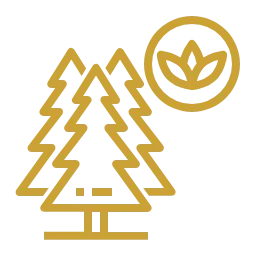 Индивидуальный подход