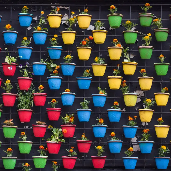 Комплексное обслуживание растений (более 90 растений)